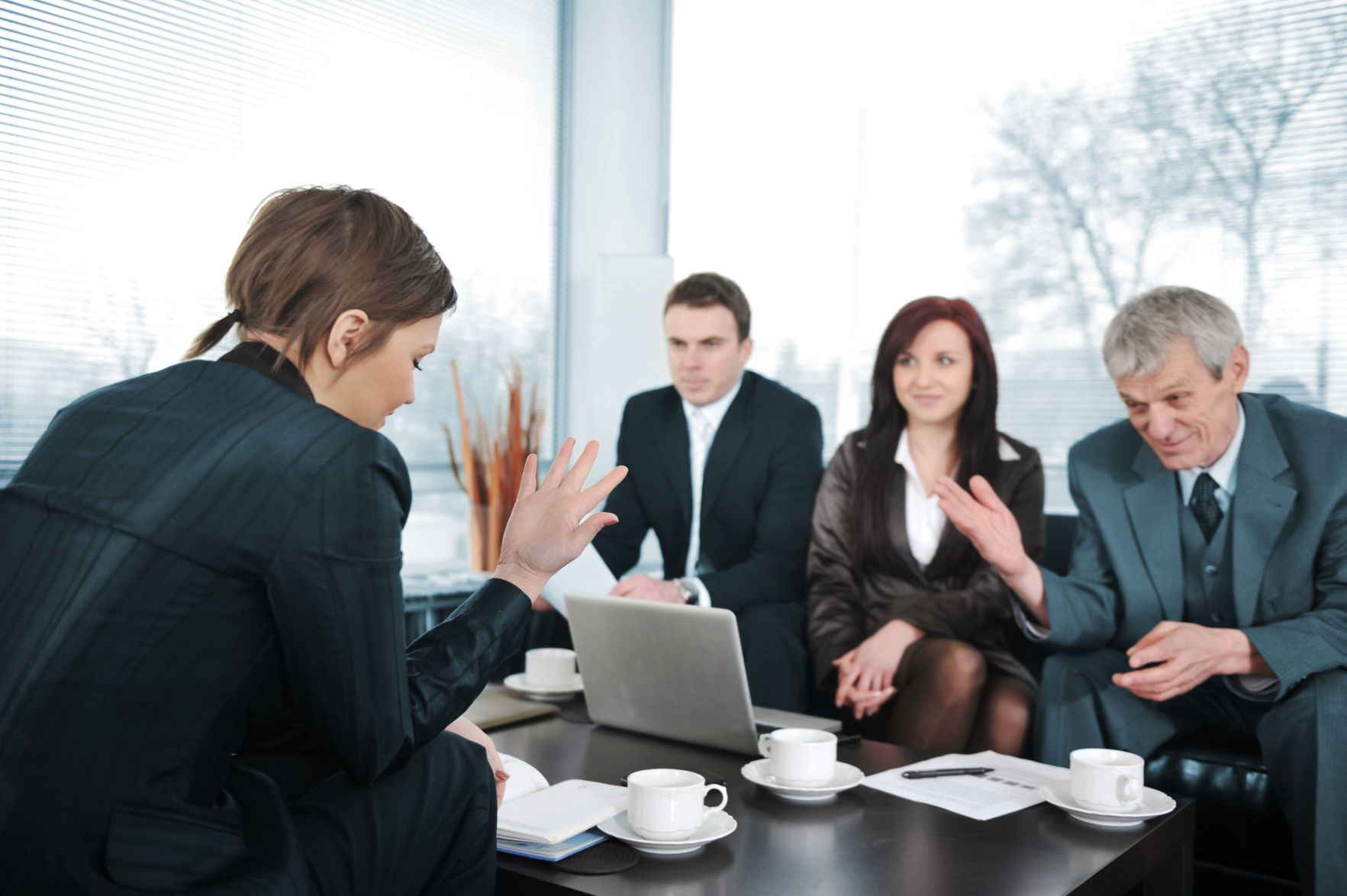 Businesswoman having a job interview